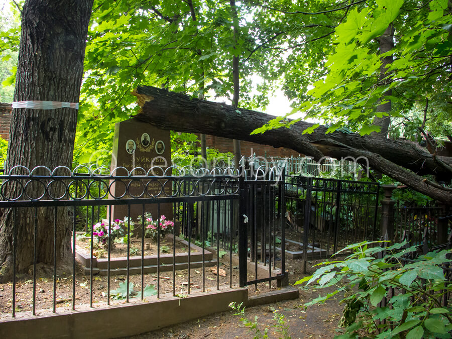 Аварийное дерево упало на кладбище